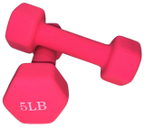 Pink Dumbbells 5 Lbs. $10 EACH ($20 FOR PAIR). Pick Up Available - Contact Us for Shipping Rate.